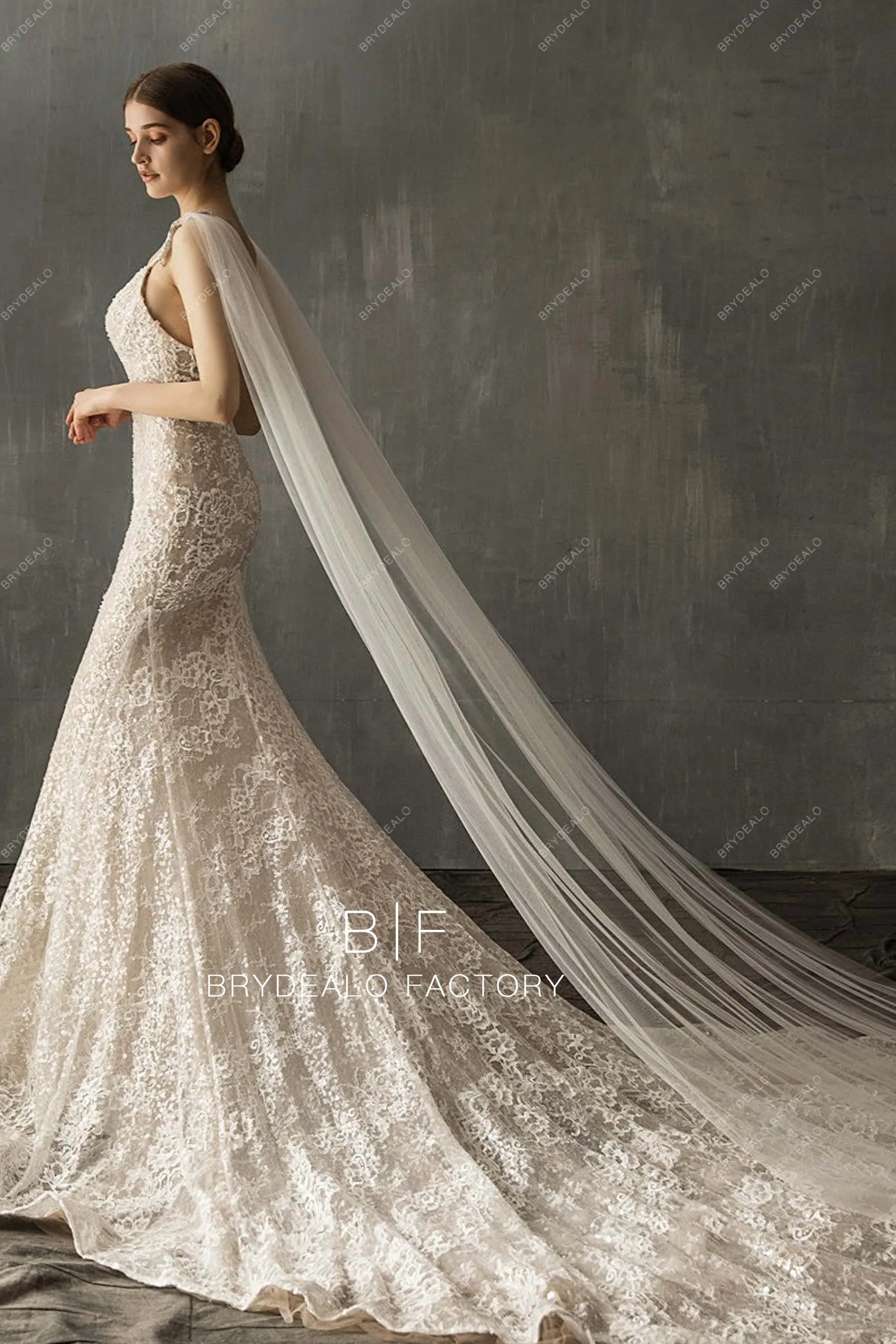 Graceful Cathedral Length Rhinestones Tulle Shoulder Veil